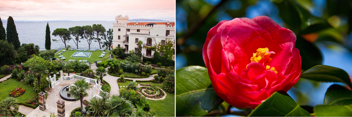 Frühlingserwachen an der Adria: Zur Kamelienblüte nach Opatija