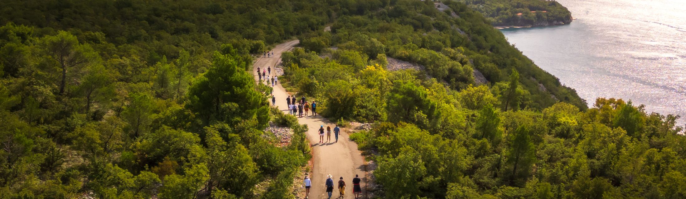 Blaufisch-Monat: Kulinarisches Abenteuer in der Kvarnerbucht