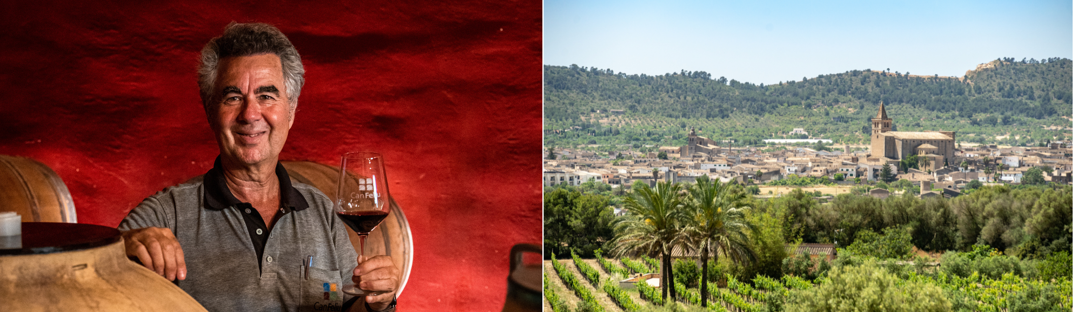 Der Ausnahme-Winzer von Montesión Der Ausnahme-Winzer von Montesión