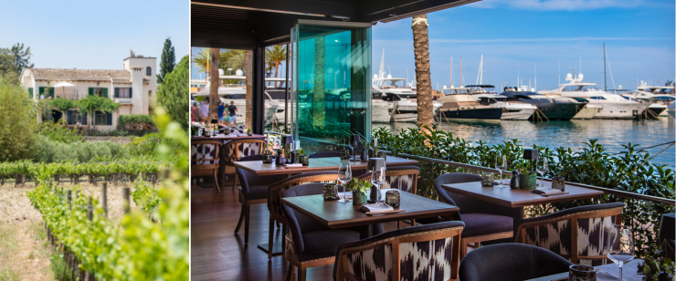 Der Ausnahme-Winzer von Montesión