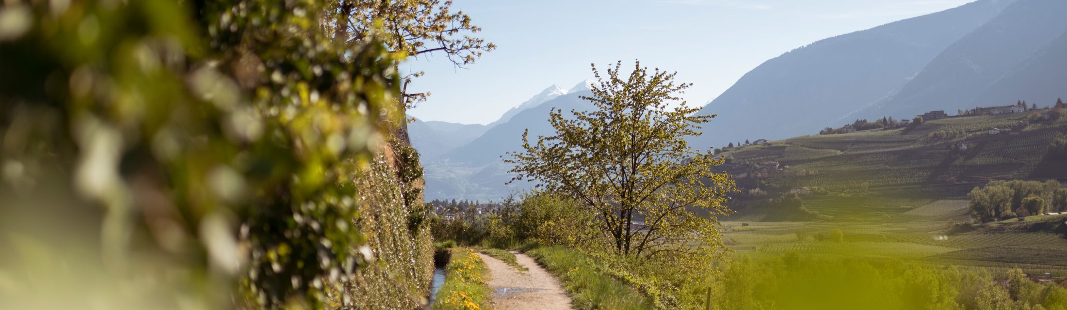 Waalwege for Hiking Friends Waalwege for Hiking Friends