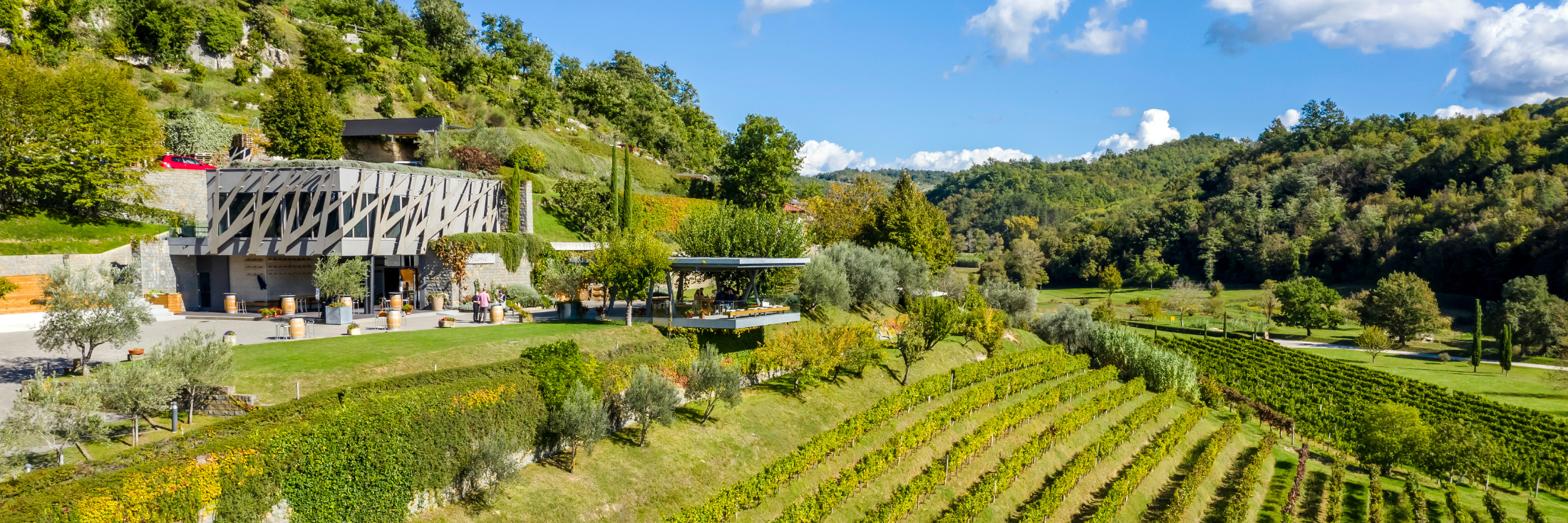 Weingut Kozlović feiert  internationale Prestigeerfolge