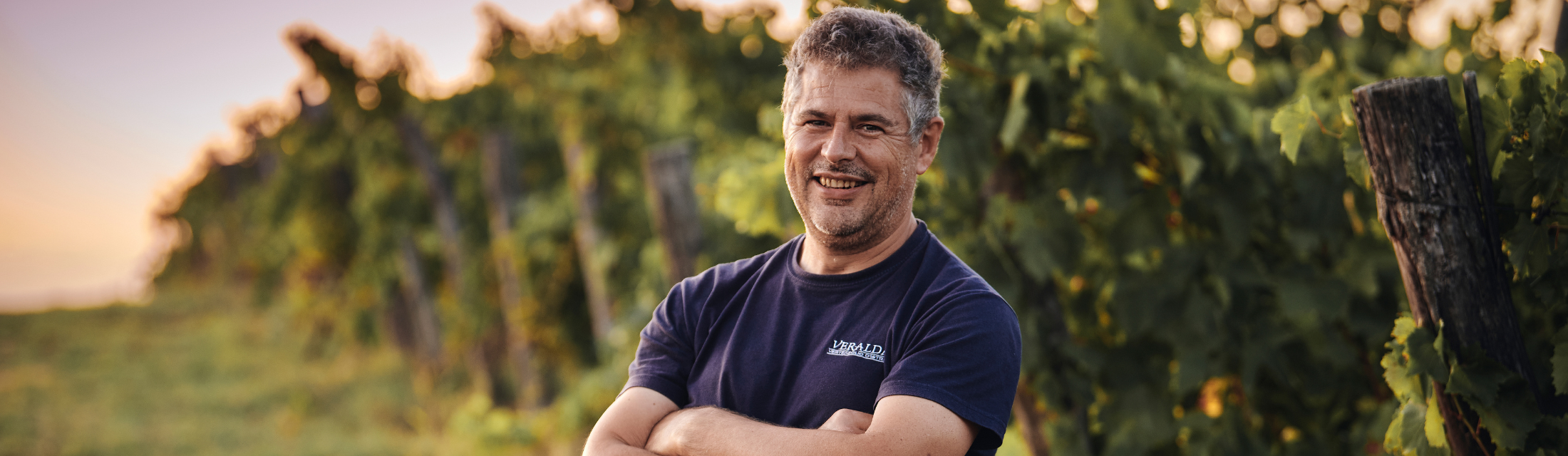 Bujština als erstes herkunftsgeschütztes Weinbaugebiet in Istrien Bujština als erstes herkunftsgeschütztes Weinbaugebiet in Istrien